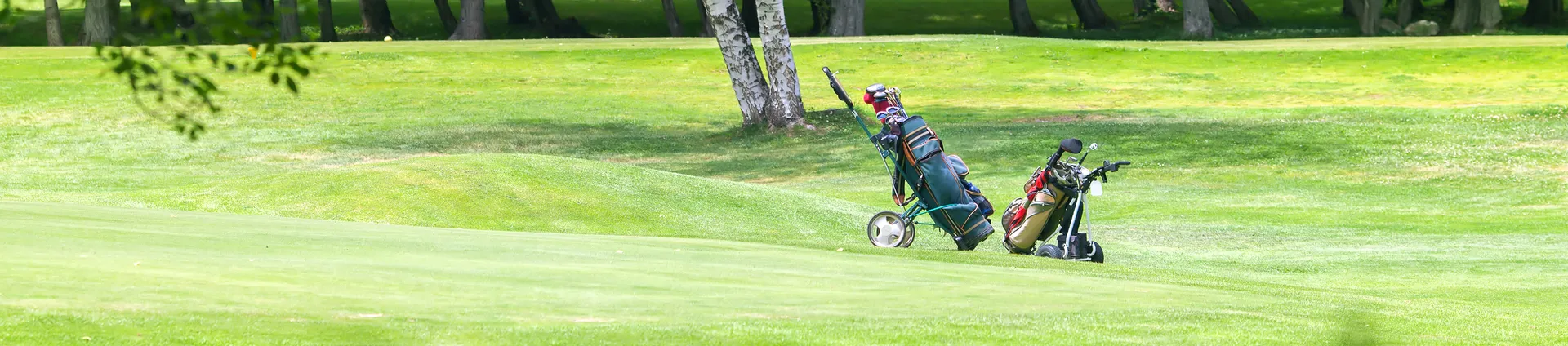 Black Friday golf