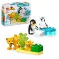 LEGO DUPLO Town Vilda djurfamiljer: Pingviner och lejon, Byggleksak med fantasitema för förskolebarn från 2 år, Byggset som sätter igång kreativ och r