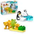 LEGO DUPLO Town Vilda djurfamiljer: Pingviner och lejon, Byggleksak med fantasitema för förskolebarn från 2 år, Byggset som sätter igång kreativ och r