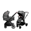 Ding Fenix Kinderwagen Grey/Silver