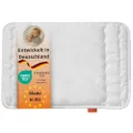 sleepling Plat hoofdkussen voor baby's en kinderen, 40 x 60 cm, plat kussen, babykussen, kinderhoofdkussen, kinderkussen, kinderkussen, made in EU, Oe