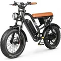 Vankel E-Bike Cityrad W66 herren Elektrofahrrad 648WH cityrad 20u00d74.0 Zoll damen 13.5AH 65Nm, Kettenschaltung, Heckmotor, 648 Wh, Retro E-Fatbike m