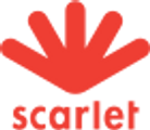 Black Friday Scarlet