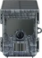 Camouflage EZ-Solar
