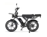 OUXI H9 E-Bike 20 Zoll Fatbike Elektrofahrrad Pedelec, 250W Motor 60Nm, 48V 15Ah Akku 60km, Hydraulische Scheibenbremsen, Vollfederung, Gepäckträger v