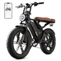 TST E Bike 20" Elektrofahrrad Erwachsene mit Fettreifen, 250W Motor 48V 15AH Akku, 25km/h 60km Maxi Reichweite E Fatbike, 7-Gang All-Terrain Elektro F