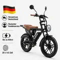 APE RYDER E-Bike Trekkingrad 20*4 Zoll Fatbike, 48V 15Ah Akku, bis 80 km, Shimano 7-Gang, 7 Gang, Heckmotor, 720 Wh, Fahrradbeleuchtung, Ständer, Klin