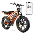 TST E Bikes Mountainbike Fatbike 20 Zoll Elektrofahrrad Herren Damen Elektro Fahrrad mit APP-Steuerung und Federung, E Fatbike 48V 15Ah Batterie 250W 