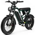 Vankel E-Bike Cityrad W66 herren Elektrofahrrad 648WH cityrad 20u00d74.0 Zoll damen 13.5AH 65Nm, Kettenschaltung, Heckmotor, 648 Wh, Retro E-Fatbike m