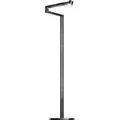 Dyson Solarcycle Morphu2122 vloerlamp (Zwart)