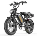 Vankel E-Bike Cityrad Herren u. Damen E-Fatbike 20 Zoll 250W 960Wh 80km Scheibenbremse, Kettenschaltung, Heckmotor, 960 Wh, Vollfederung und Scheibenb