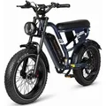 Vankel E-Bike Cityrad W66 herren Elektrofahrrad 648WH cityrad 20u00d74.0 Zoll damen 13.5AH 65Nm, Kettenschaltung, Heckmotor, 648 Wh, Retro E-Fatbike m