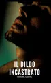Il Dildo Incastrato: Racconti Erotici Gay Espliciti in Italiano per Adulti: 44