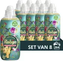 Robijn Collections Paradise Secret Wasverzachter, voor heerlijk zacht wasgoed met verbeterde geurbeleving - 8 x 33 wasbeurten - Voordeelverpakking