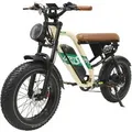 Vankel E-Bike Cityrad W66 herren Elektrofahrrad 648WH cityrad 20u00d74.0 Zoll damen 13.5AH 65Nm, Kettenschaltung, Heckmotor, 648 Wh, Retro E-Fatbike m