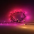 Philips Hue White & Color Ambiance Festavia Lichtslinger 20 Meter 250 Led Lampjes