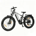 PIXAR E-Bike E-bike Fatbike 250W 48V 20Ah Akku, Shimano 7-Gang, Hydraulische, 7 Gang, Mittelmotor, 960 Wh