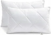 Makimoo Hoofdkussen set van 2 stuks, kussen voor bed en sierkussen, polyester binnenkussen vulkussen voor sofakussen sierkussen (30 x 50 cm)