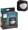 Philips Hue Buitensensor