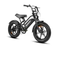 Rattan E Bike Erwachsene Fatbike E Bike 20 Zoll, Elektrofahrrad mit 864Wh Akku, bis zu 120km Reichweite, 120Nm Drehmoment, Breite 20" x4.0 Reifen, Sch