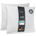 LILENO HOME Set van 2 kussen vulling 50x60 cm - Binnenkussen wasbaar op 40°C geschikt voor mensen met allergieën - Polyester kussen voor bank, sofa, c